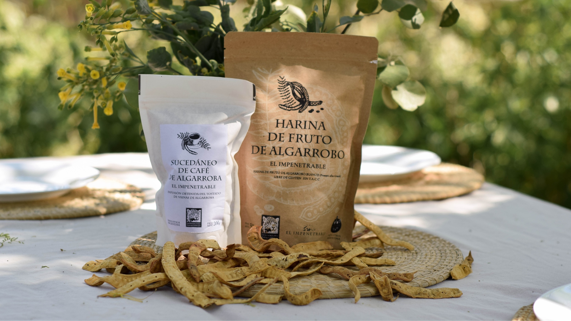Café de algarroba: Una alternativa al café tradicional, nacida del monte chaqueño